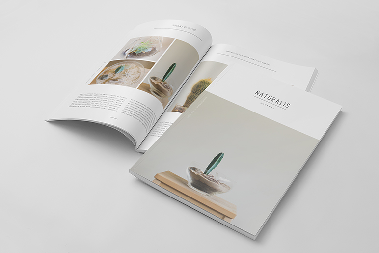 Brochure Design